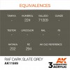 AK INTERACTIVE AK11849
