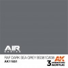 AK INTERACTIVE AK11851