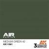AK INTERACTIVE AK11861