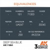 AK INTERACTIVE AK11864