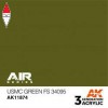 AK INTERACTIVE AK11874