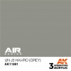 AK INTERACTIVE AK11891