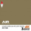 AK INTERACTIVE AK11905