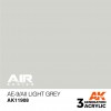 AK INTERACTIVE AK11908