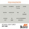 AK INTERACTIVE AK11908