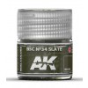 AK INTERACTIVE RC039
