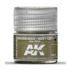 AK INTERACTIVE RC051