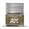 AK INTERACTIVE RC053