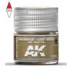 AK INTERACTIVE RC089