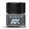 AK INTERACTIVE RC317