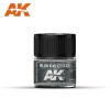 AK INTERACTIVE RC339