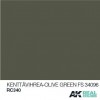 AK INTERACTIVE RC340