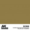 AK INTERACTIVE RC858