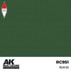 AK INTERACTIVE RC951