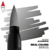 AK INTERACTIVE RCM010