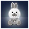 ARTSANA (CHICCO) 11456-00