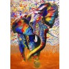 Bluebird Bluebird-Puzzle-70101