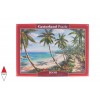 CASTORLAND 104666