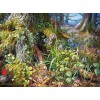 CASTORLAND 200764