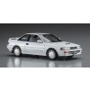 HASEGAWA HA20596
