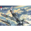 ICM 48066