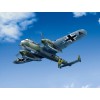 ICM 48241