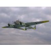 ICM 72293
