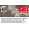 LOTTI 49963