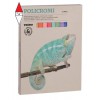 MOROCOLOR 021GC24I