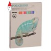 MOROCOLOR 021GC24I