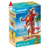 PLAYMOBIL 70713
