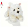PLUSH-COMPANY 15886
