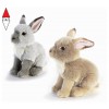 PLUSH-COMPANY 15937