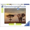 RAVENSBURGER 15159