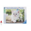 RAVENSBURGER 16243