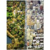 RAVENSBURGER 16254