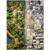 RAVENSBURGER 16254
