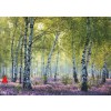 RAVENSBURGER 16753