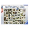 RAVENSBURGER 17079