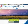 RAVENSBURGER 17491