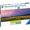 RAVENSBURGER 17491