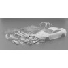 SCALEAUTO