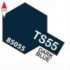TAMIYA TS55
