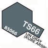 TAMIYA TS66