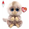 TY T41036