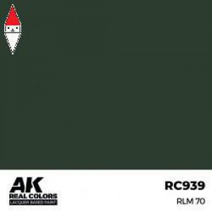 VERNICE MODELLISMO AK INTERACTIVE