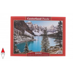 PUZZLE CASTORLAND 1000 PZ