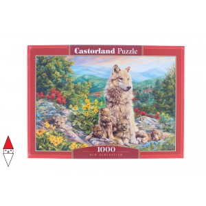 PUZZLE CASTORLAND 1000 PZ