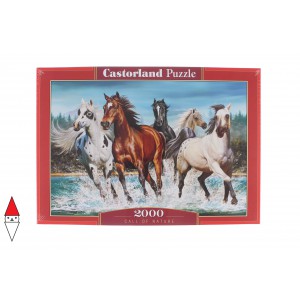 PUZZLE CASTORLAND 2000 PZ