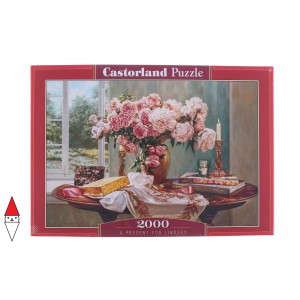 PUZZLE CASTORLAND 2000 PZ